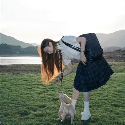 歌舞青春